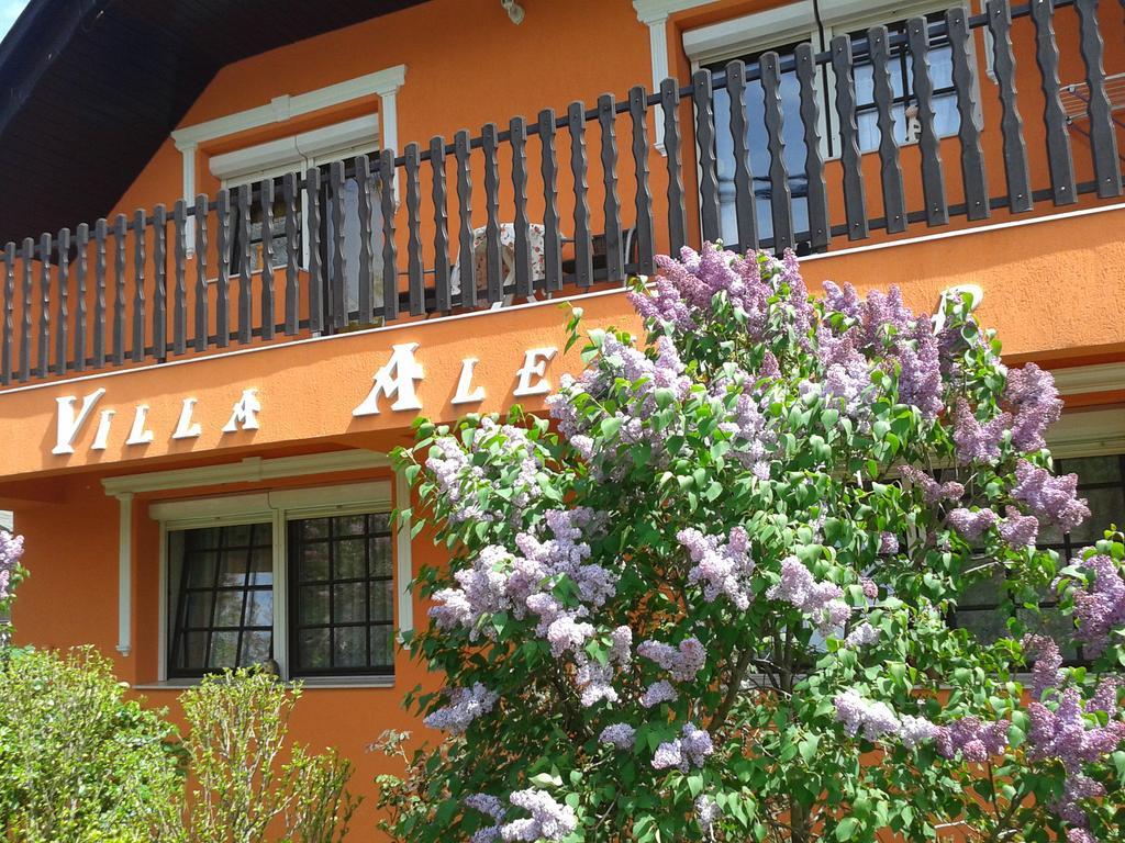 Villa Alexandr Alsópáhok Kültér fotó